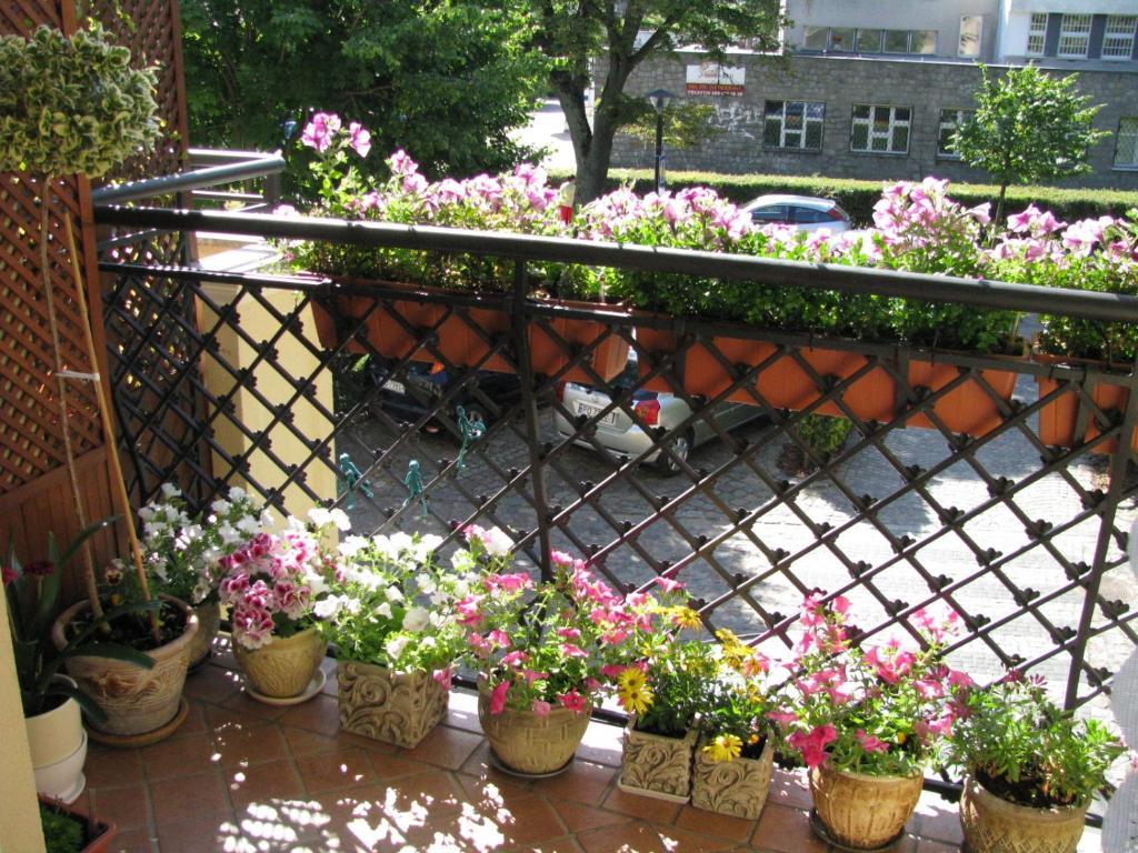ソポトPatio Mare Amberアパートメント エクステリア 写真