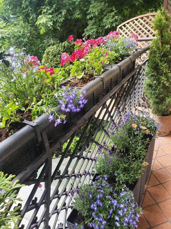 ソポトPatio Mare Amberアパートメント エクステリア 写真