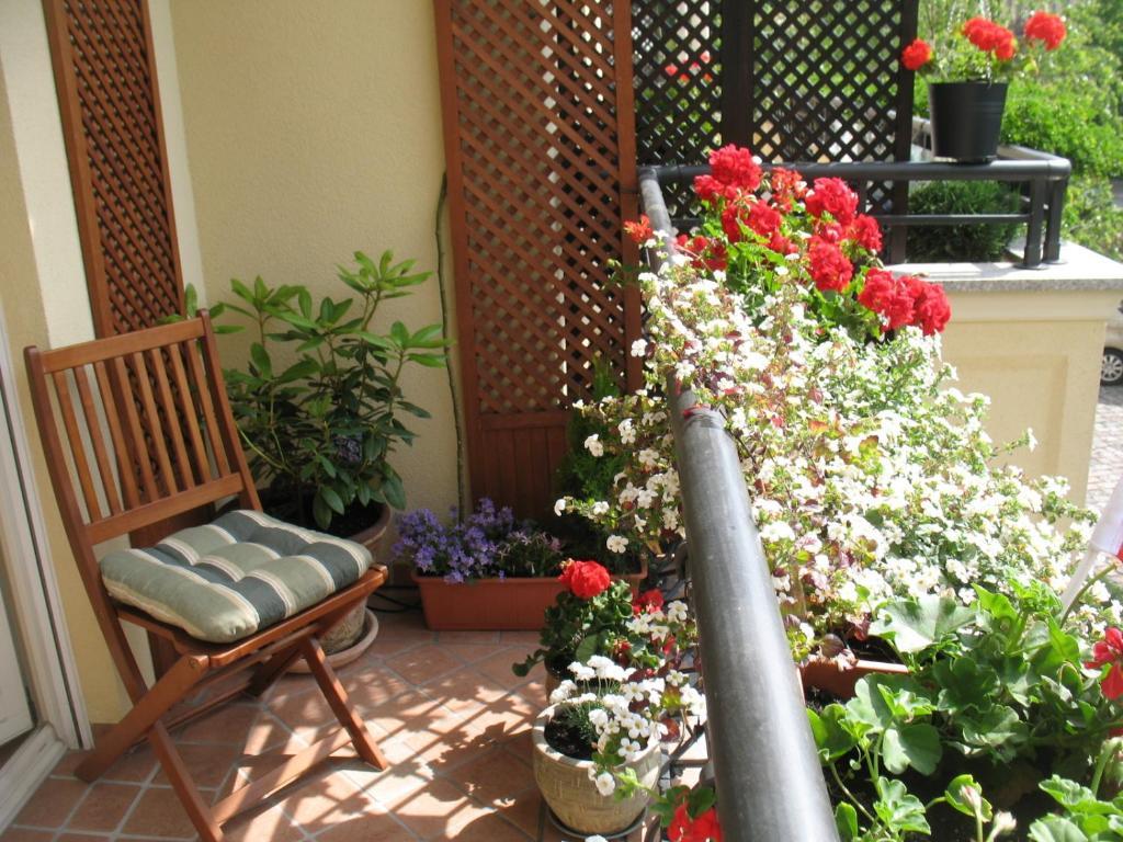 ソポトPatio Mare Amberアパートメント エクステリア 写真
